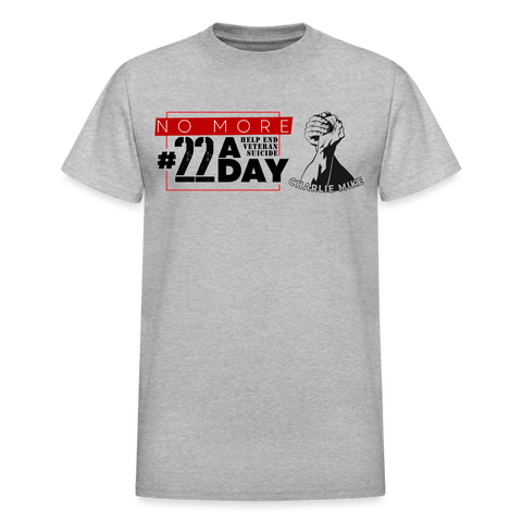 22 A Day - heather gray
